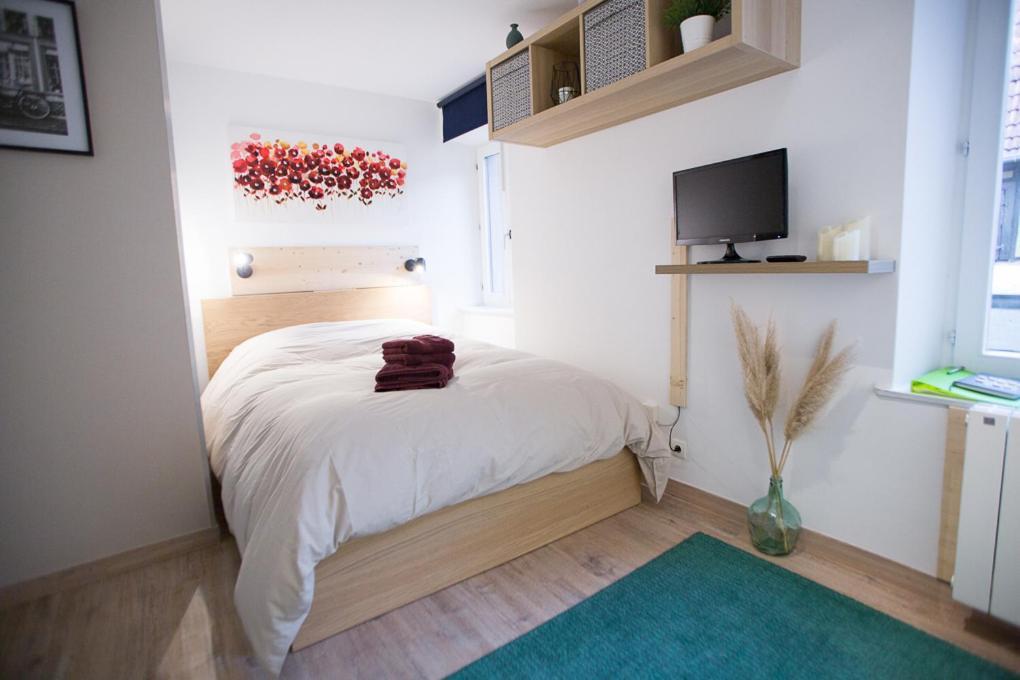 Studio Zone Pietonne A Saverne Exterior foto